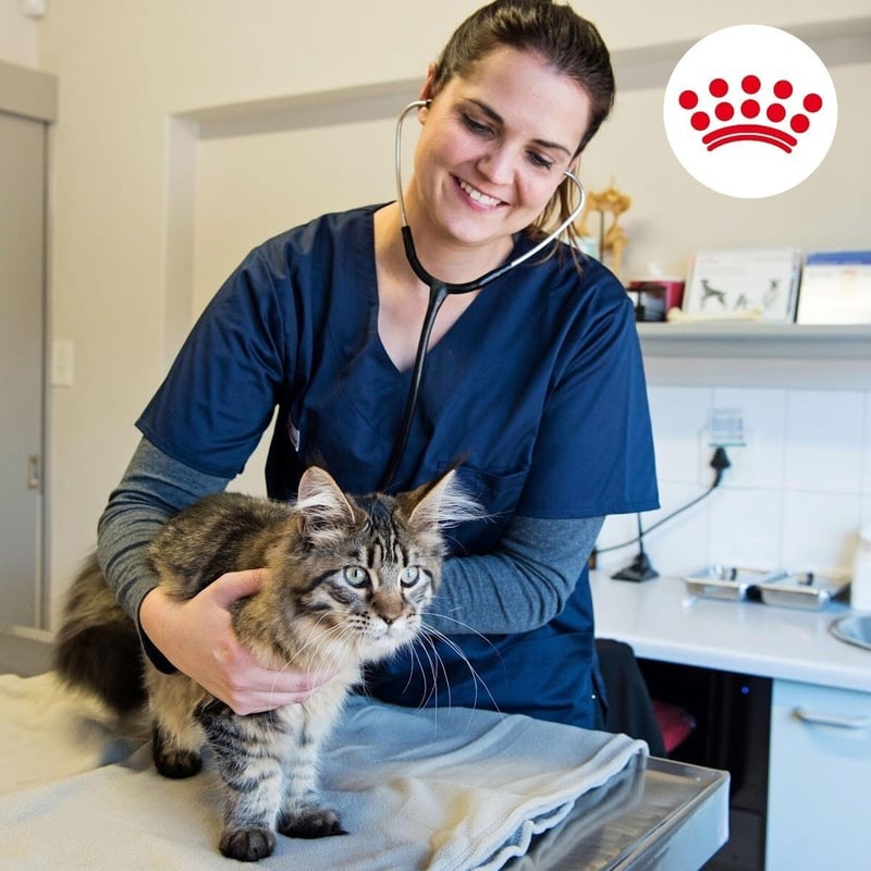 World Animal Day – creating a world where our pets can thrive