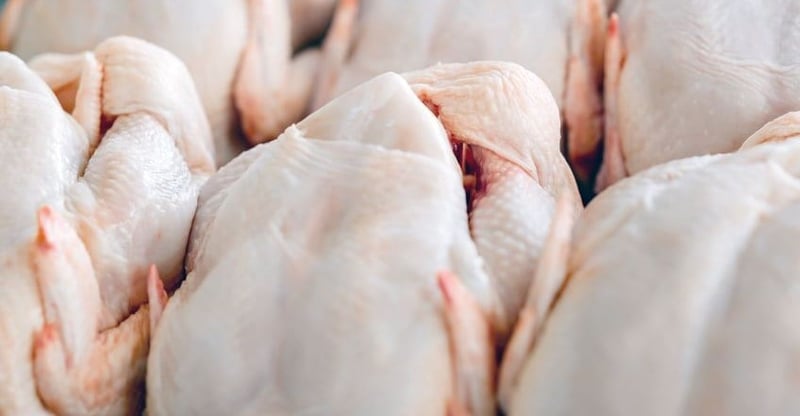 SA Poultry Industry Rejects US Import Quota Citing Threat to Local Producers and Lack of Engagement